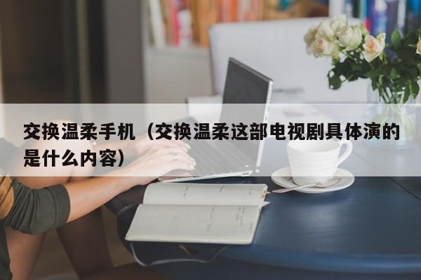 交换温柔手机（交换温柔这部电视剧具体演的是什么内容）