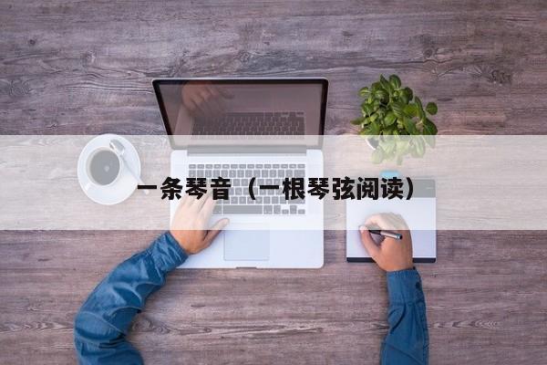 一条琴音（一根琴弦阅读）